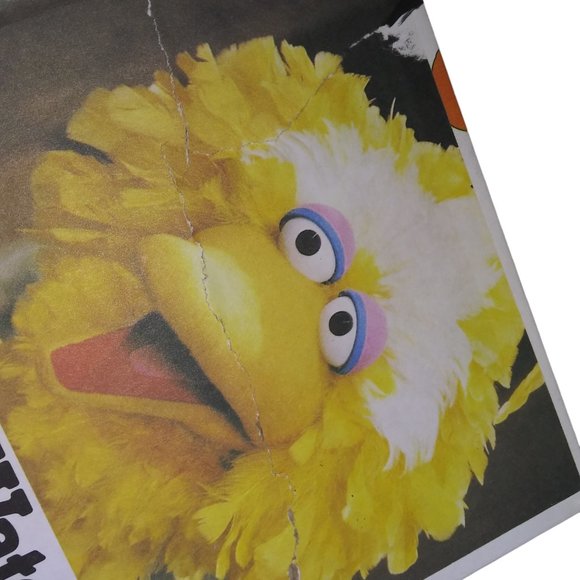 VTG Sesame Street The Count Counts A Party Hardcover Book Golden Press 1980 - Picture 8 of 10